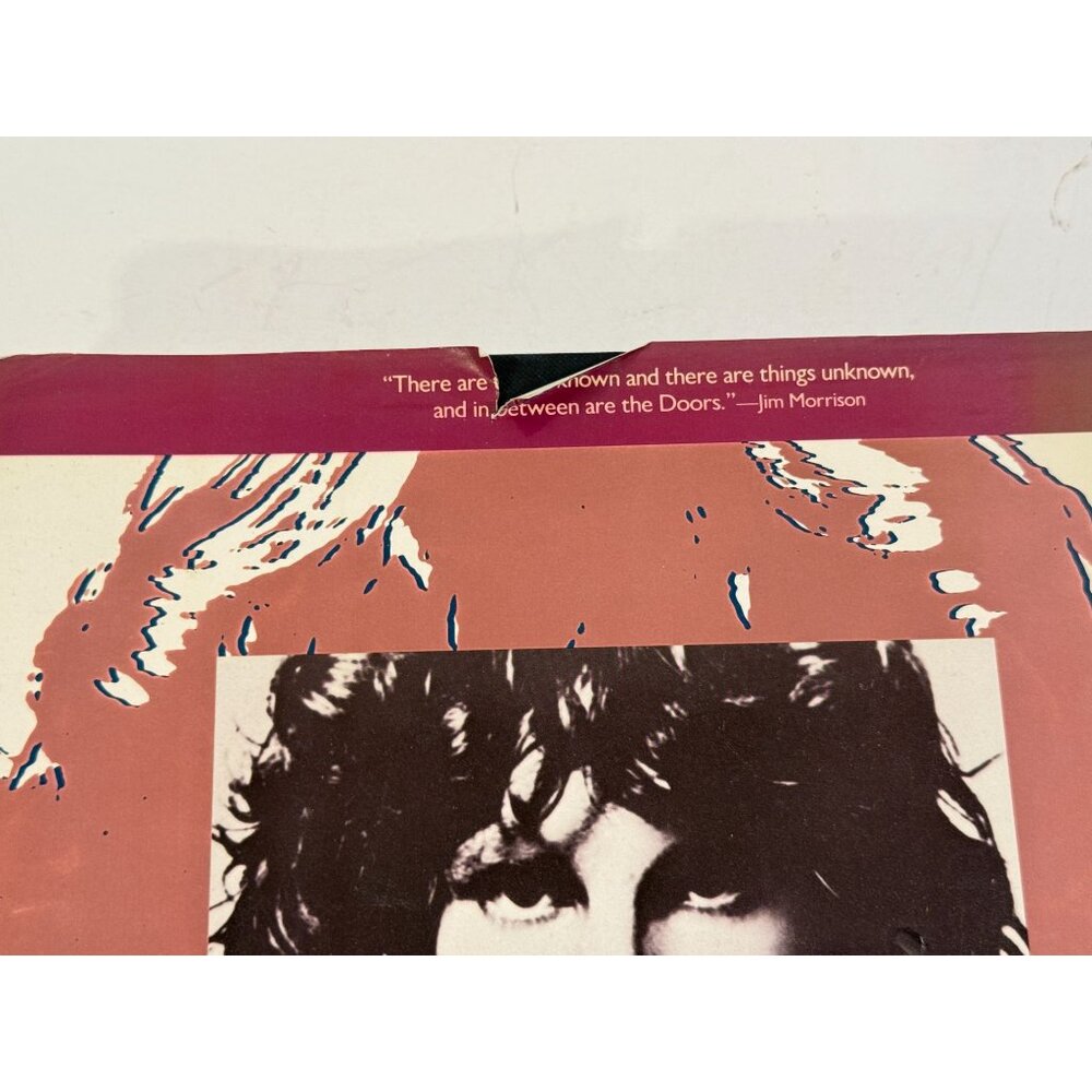 Jim Morrison Dark Star Hardcover By Jones, Dylan - GOOD - Picture 3 of 16